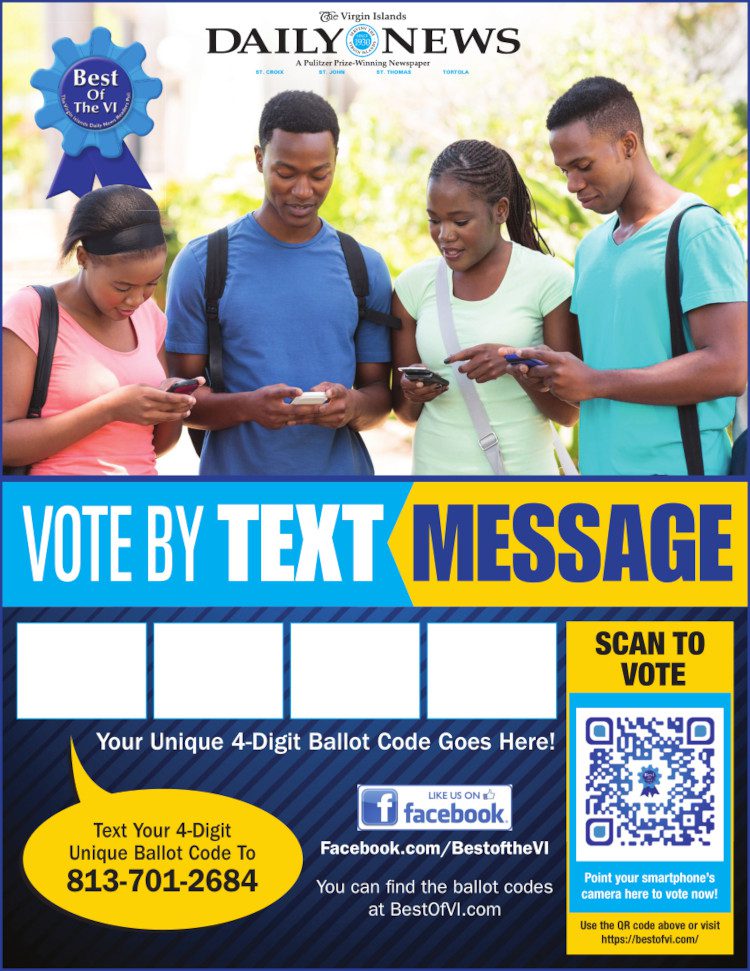 Text to Vote Flyer - Option C